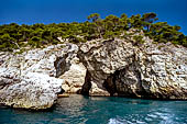 La costa cesellata di grotte create dall'erosione del calcare con anfratti; rientranze e rotture.